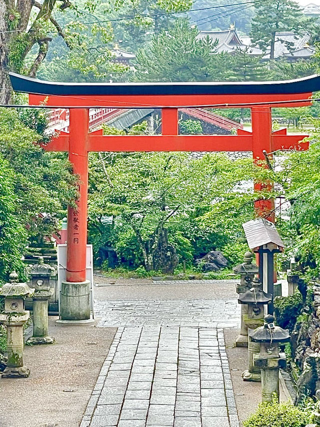 【京都府】うさぎがご縁を運ぶ神社