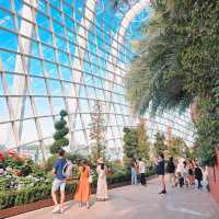Gardens by the Bay 
