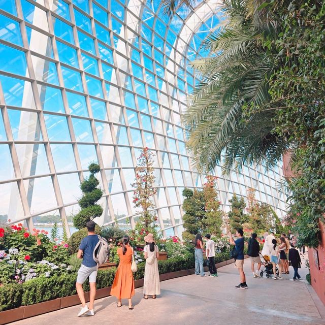 Gardens by the Bay 
