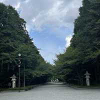 Sapporo - Metropolis close to nature 🌸