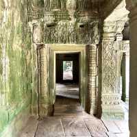 【カンボジア/シェムリアップ】自然と遺跡が融合した神秘的なタプローム寺院
