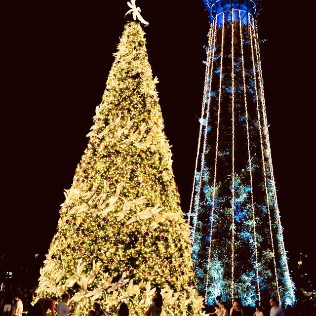 Celebrating Christmas in Singapore Super tree Wonderland 🇸🇬 