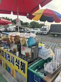 【韓国/大邱】コスモスを見に行くならここ！