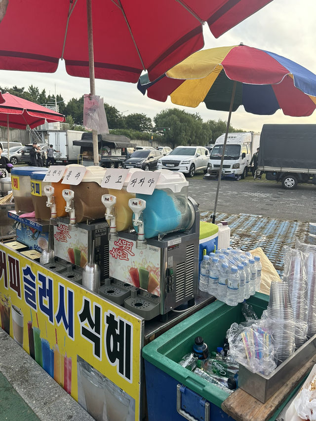 【韓国/大邱】コスモスを見に行くならここ！