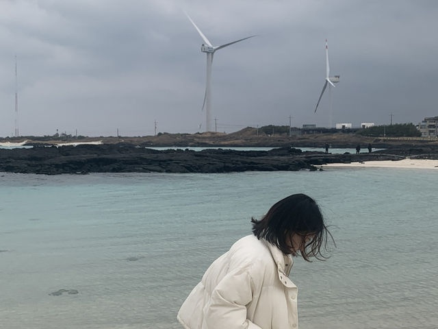済州島🇰🇷