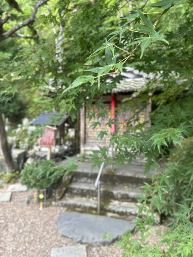 ˗ˏˋ ♡の窓で有名な風鈴寺🎐 ˎˊ˗