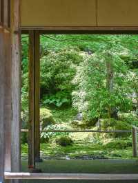 【期間限定】感動の絶景広がる🌼 欲張りに2種類たのしむのがおすすめ🫶🏻🌸✨ 
