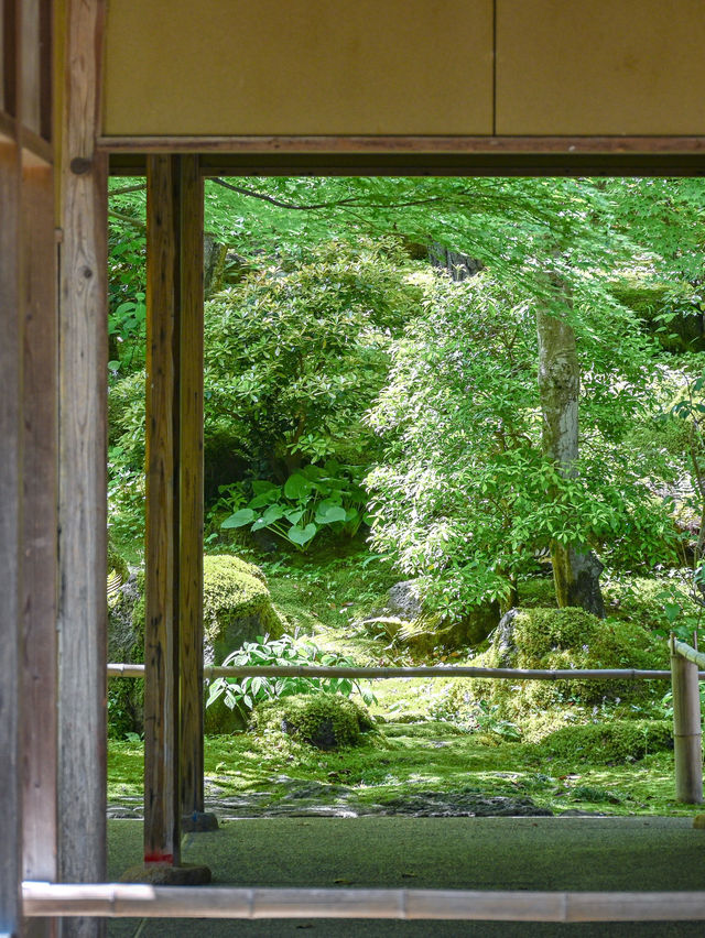 【期間限定】感動の絶景広がる🌼 欲張りに2種類たのしむのがおすすめ🫶🏻🌸✨ 