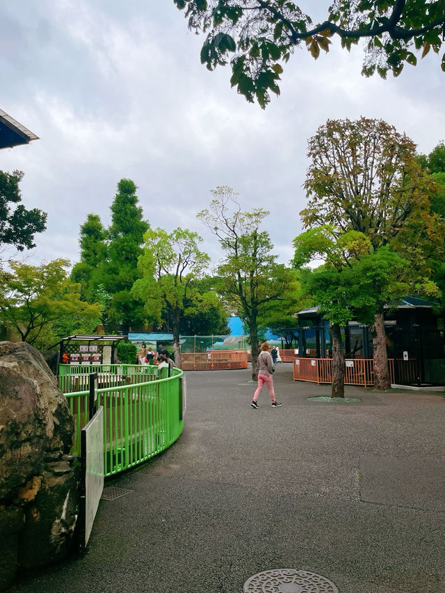 สวนสัตว์เปิดในสวนสาธารณะที่โตเกียว เจ๋งมาก! 🦭🦊
