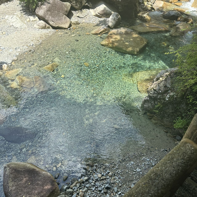 【岐阜観光】マイナスイオンで癒しの旅へ🩵