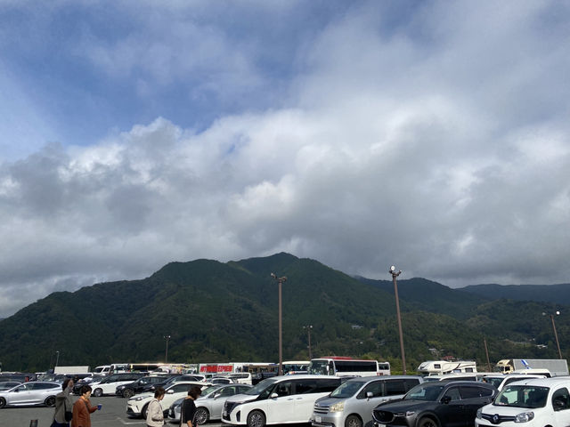 【山梨🇯🇵】ぶどう狩りバスツアー！🍇