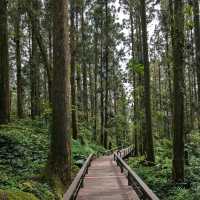 Fenchihu - Historic Railway Town with Japanese Charm
