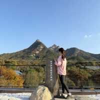가을 감성 가득🍁 스타벅스 더북한산점에서 즐기는 특별한 힐링 타임
