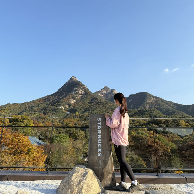 가을 감성 가득🍁 스타벅스 더북한산점에서 즐기는 특별한 힐링 타임