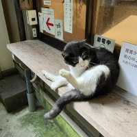 長野県佐久市釈尊寺