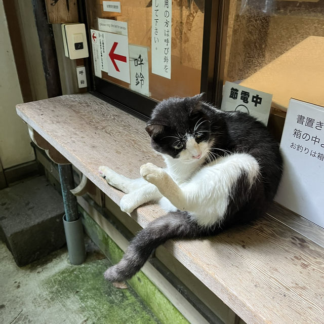 長野県佐久市釈尊寺