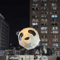  CHENGDU IN THE CITY 🇨🇳