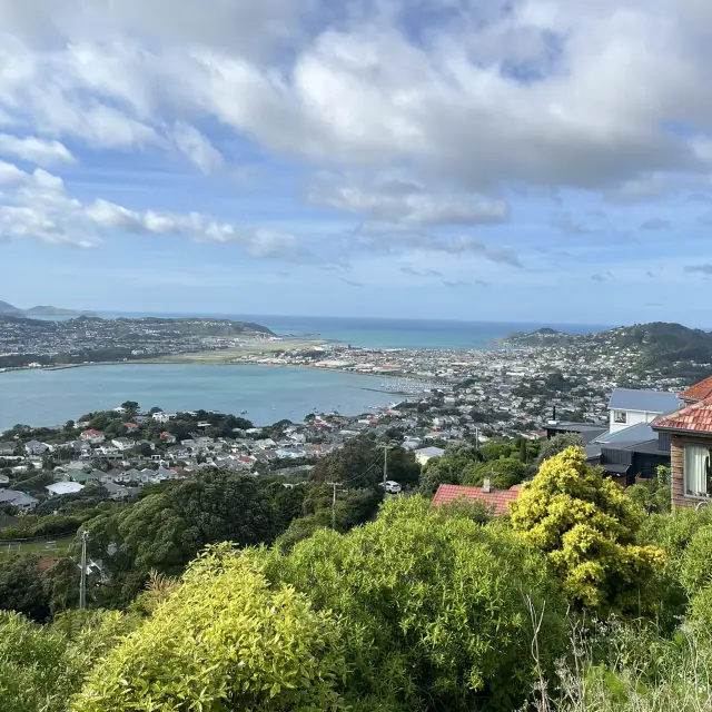 【NZ】ウェリントン🚌大自然のLOTRツアー堪能旅