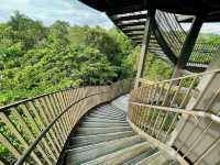 Tranquil Escape at Chestnut Nature Park