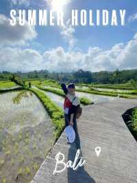 バリ島の棚田🇮🇩を目の前で見てきました！絶景の棚田景色をみなさんにおすそ分けです🎵