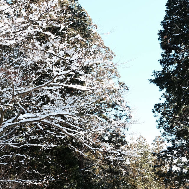 飛驒高山必去景點 - 日枝神社⛩️❄️
