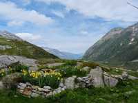 Journey Through the Majestic Gotthard Pass