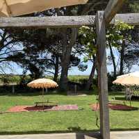 Beautiful winery experience at Adelaide 