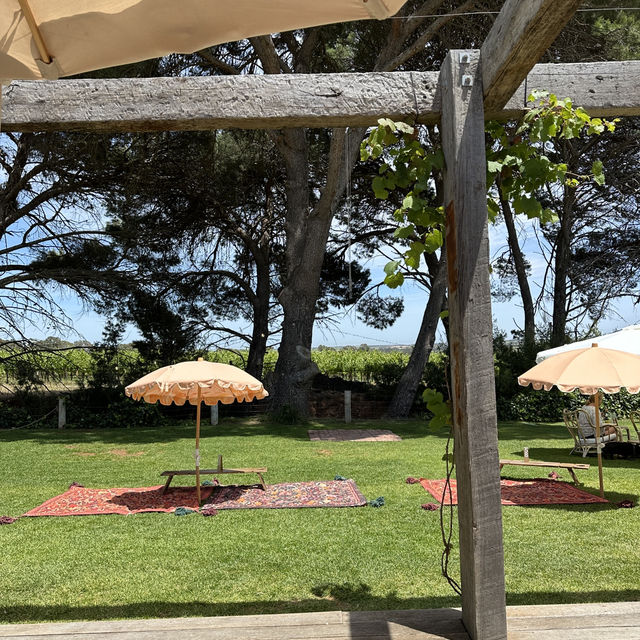 Beautiful winery experience at Adelaide 
