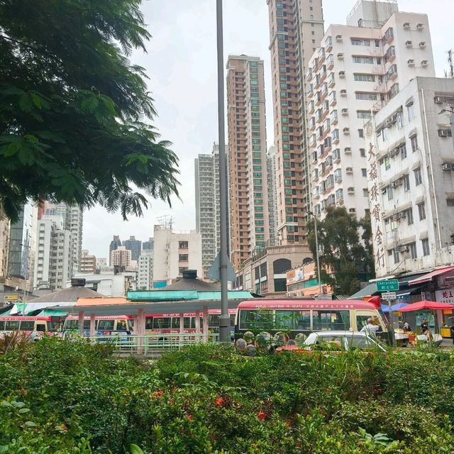 這一年讓香港從我的旅遊地，變像是生活的城市