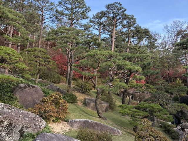 형형색색의 한국의 가을로 오세요 🍂