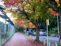 สวนสัตว์และพฤกษศาสตร์ฮิงาชิยามา 東山動植物園