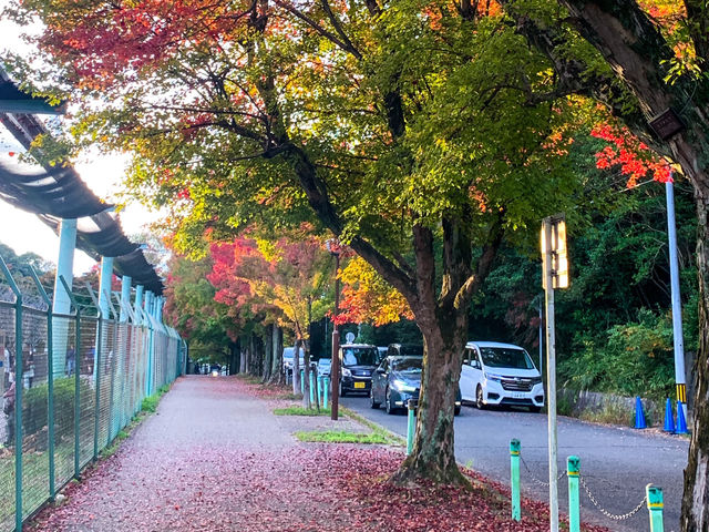 สวนสัตว์และพฤกษศาสตร์ฮิงาชิยามา 東山動植物園