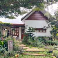 คาเฟ่สุดคิ้วท์ที่เชียงราย 🧺🌼Vanilla cabin