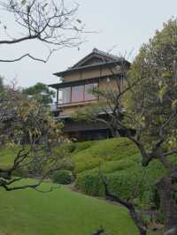 景點推薦：八芳園——東京隱藏的和式庭園美景