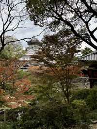 【北九州旅行】 小倉城庭園アフタヌーンティー