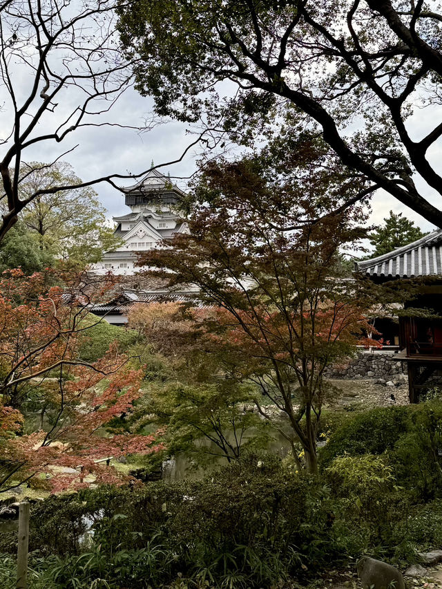 【北九州旅行】 小倉城庭園アフタヌーンティー