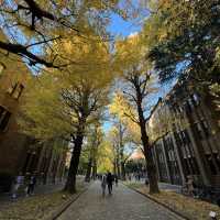 Only Locals know about this place for Autumn Leaves!