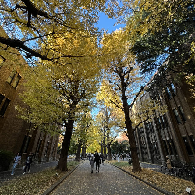 Only Locals know about this place for Autumn Leaves!