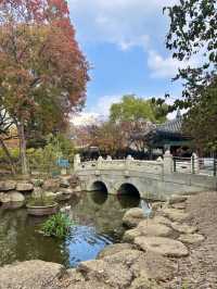 2021년 국가 유산보물로 선정된 대구 경상감영공원✨💛