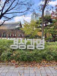 가을공기를 마시면서 산책하기 좋은 역사공간 대구공원❤️