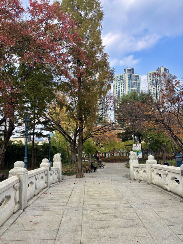 대구에서 산책하기 좋은 역사가 있는 공원🌳💚