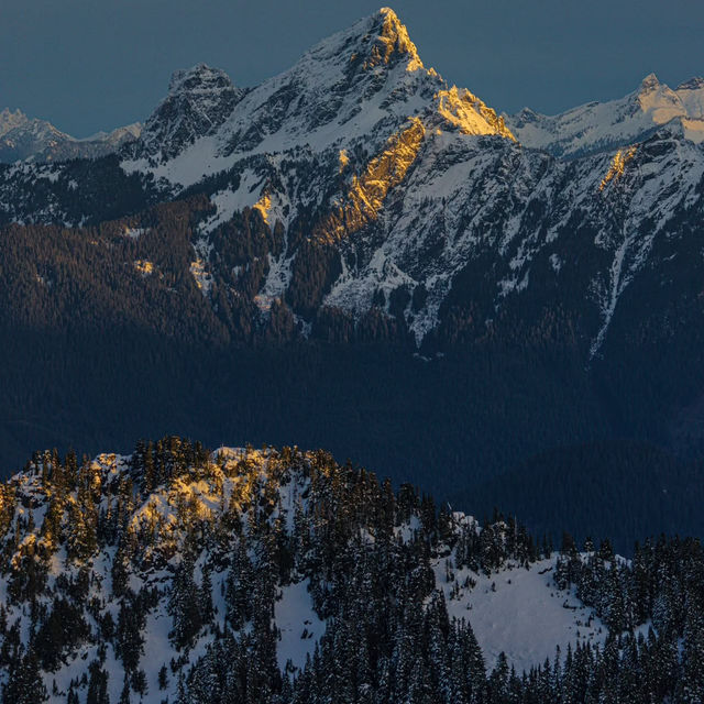 ❄️Washington Should Be Your Next Christmas Vacation 🎅🏼