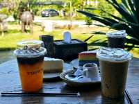 จาวนาคาเฟ่ คาเฟ่ท่ามกลางทุ่งนา