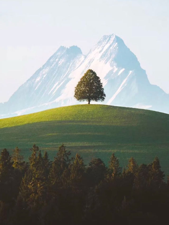 3 Reasons Why Switzerland Should Be Your Next Destination 