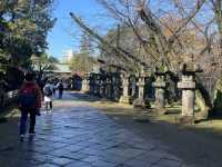 🇯🇵 【上野東照宮】
