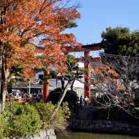 櫻宮神社：鳥居下的香火🏯