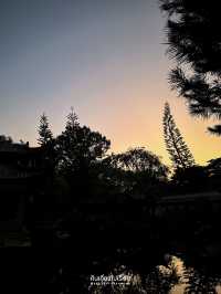 รีวิวศูนย์วัฒนธรรมจีน มหาวิทยาลัยแม่ฟ้าหลวง
