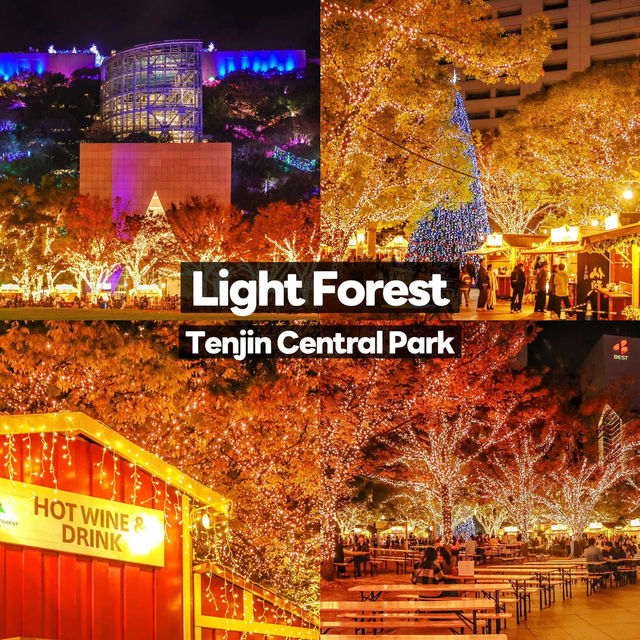 Fukuoka Christmas Market  & Illumination 2024🎄✨