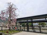 彷如與自然結合的美麗建築：由布院遊客服務中心