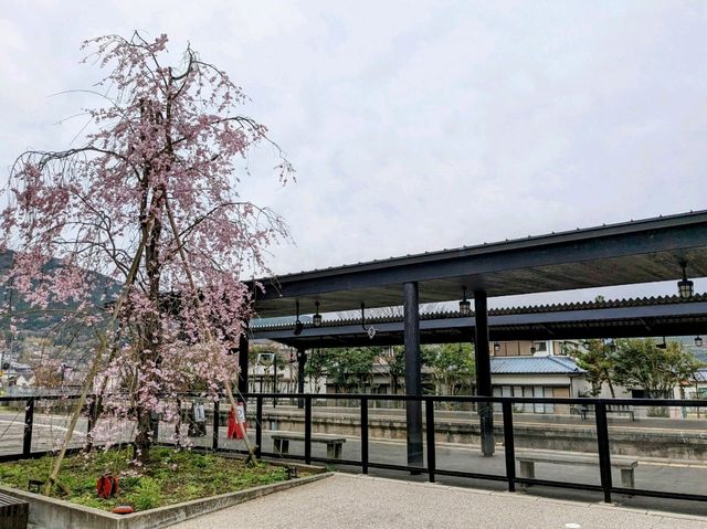 彷如與自然結合的美麗建築：由布院遊客服務中心